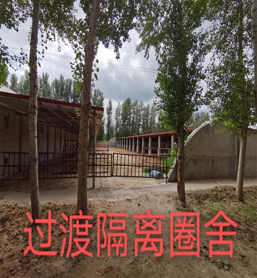 隔离圈舍