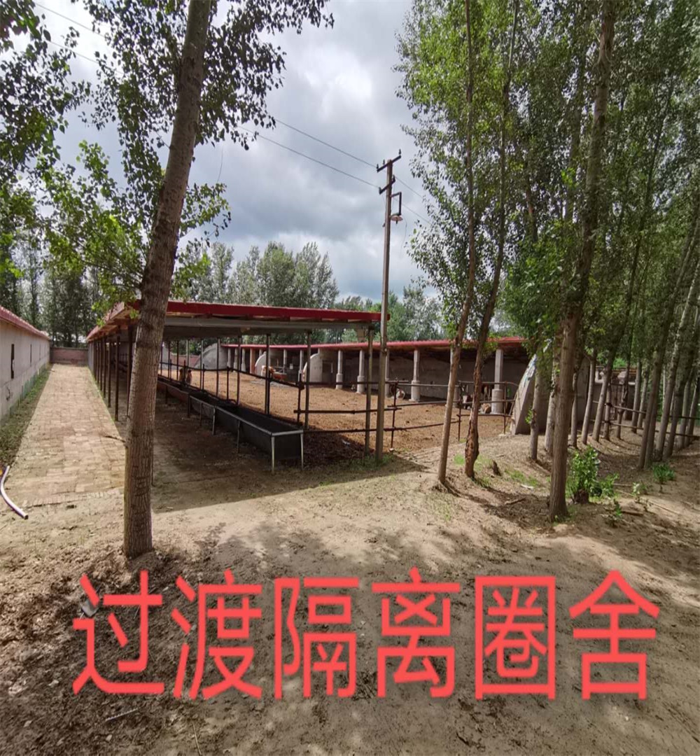 隔离圈舍